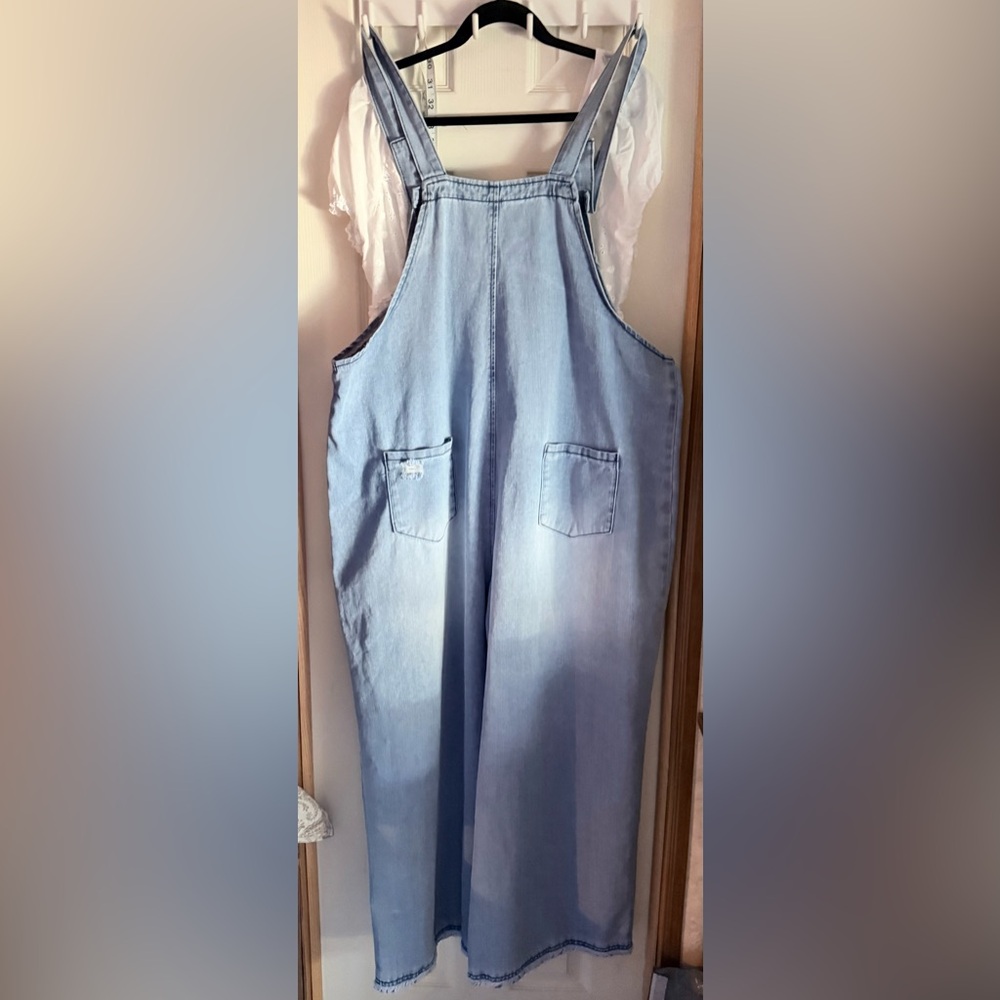 Blue Denim Distressed Overalls - Picture 5 of 7